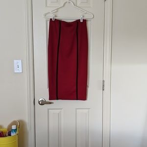Professional womens skirt